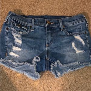 True Religion brand short shorts